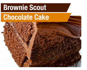 Brownie Scout Chocolate Cake