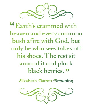 Earth's crammed with heaven and every common bush afire with God, but only he who sees takes off his shoes. The rest sit around it and pluck blackberries. – Elizabeth Barrett Browning.