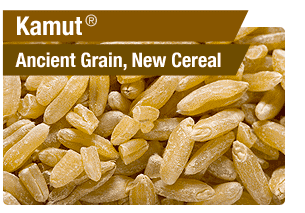 Kamut: Ancient Grain, New Cereal.