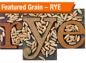Featured Grain – RYE.