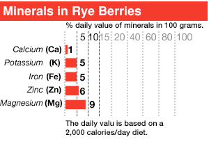 Minerals in Rye Berries