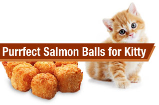 Purrfect Salmon Balls for Kitty