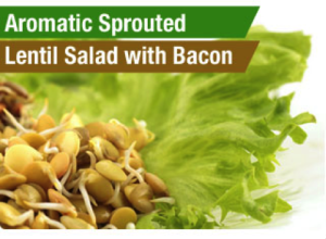 Aromatic Sprouted Lentil Salad with Bacon