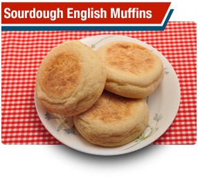 Sour Dough English Muffins