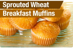Sprouted Wheat Breakfast Muffins