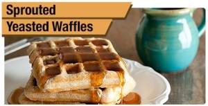 Sprouted Yeasted Waffles